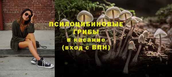 амф Белокуриха