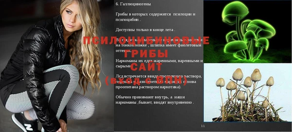 PSILOCYBIN Беломорск